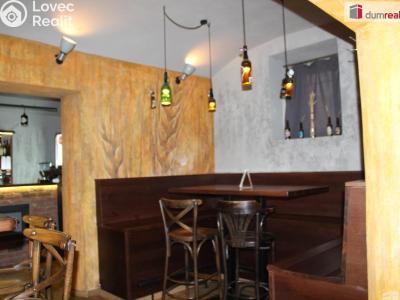 Pronájem restaurace Plzeň, Americká 941 č. 9