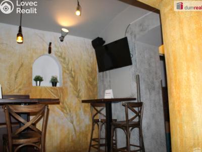 Pronájem restaurace Plzeň, Americká 941 č. 10