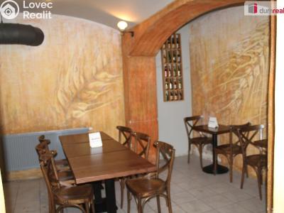 Pronájem restaurace Plzeň, Americká 941 č. 13