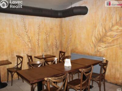 Pronájem restaurace Plzeň, Americká 941 č. 14