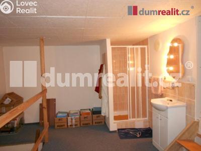 Prodej obchodního prostoru Lovosice, Osvoboditelů 937 č. 4