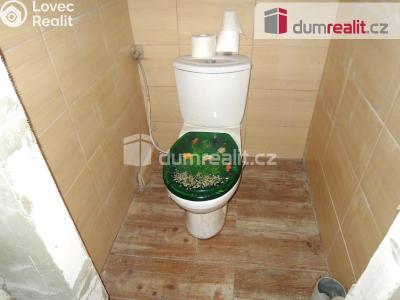 Prodej rodinného domu Řepín, Libeňská 109 č. 12