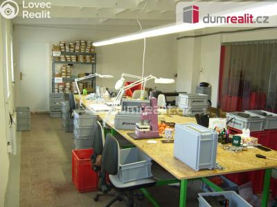 Pronájem obchodního prostoru Děčín, Zelená č. 7