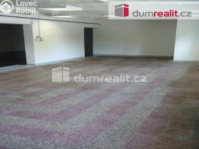 Pronájem obchodního prostoru Děčín, Zelená č. 14