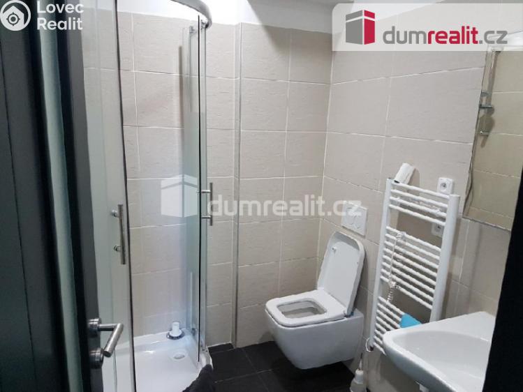 Pronájem bytu 1+KK Praha, Pilská 0 č. 6