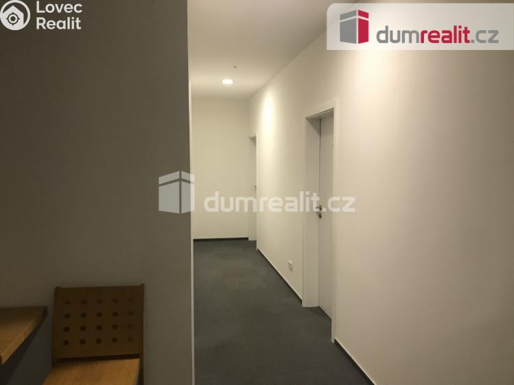 Pronájem bytu 1+KK Praha, Pilská 0 č. 9