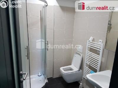 Pronájem bytu 1+KK Praha, Pilská č. 6