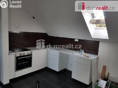 Pronájem bytu 1+KK Praha, Pilská č. 7