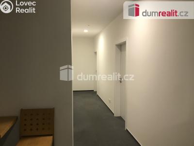 Pronájem bytu 1+KK Praha, Pilská č. 9