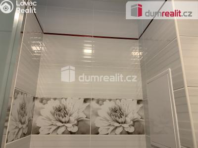 Prodej bytu 2+1 Chlumec, Krušnohorská 253 č. 5