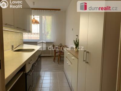 Prodej bytu 2+1 Chlumec, Krušnohorská 253 č. 7