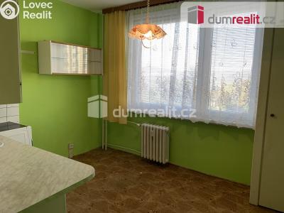 Pronájem bytu 1+1 Ústí nad Labem, Nová 1394 č. 8