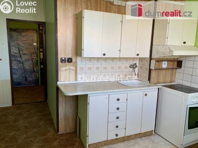 Pronájem bytu 1+1 Ústí nad Labem, Nová 1394 č. 2