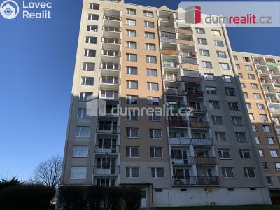 Pronájem bytu 1+1 Ústí nad Labem, Nová 1394 č. 13