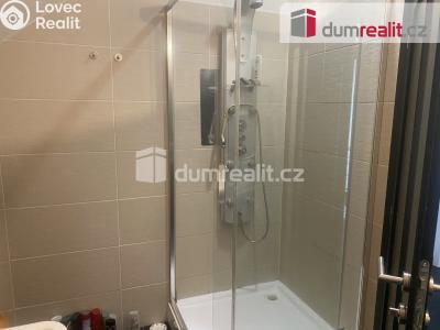 Pronájem bytu 1+KK Praha, Pilská 6 č. 10