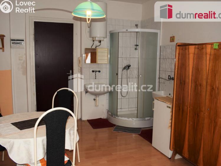 Prodej bytu 1+KK Karlovy Vary, Tylova 1126 č. 4