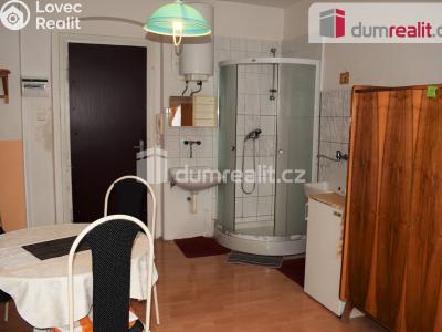 Prodej bytu 1+KK Karlovy Vary, Tylova 1126 č. 4