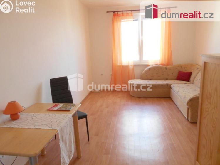 Pronájem bytu 2+1 Příbram, Ve Dvoře 74 č. 3