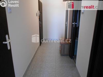 Pronájem bytu 2+1 Příbram, Ve Dvoře 74 č. 8