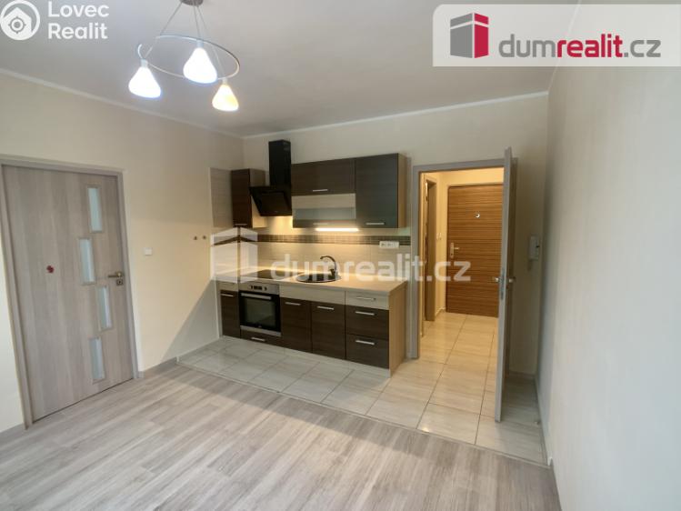 Pronájem bytu 1+1 Ústí nad Labem, Nová 1399 č. 1