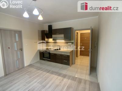 Pronájem bytu 1+1 Ústí nad Labem, Nová 1399 č. 1