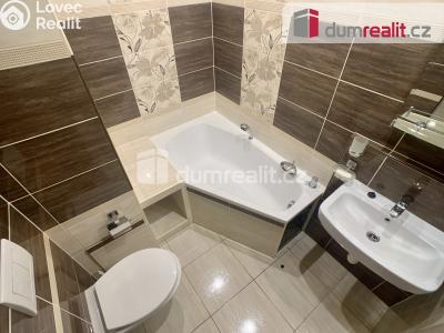 Pronájem bytu 1+1 Ústí nad Labem, Nová 1399 č. 7