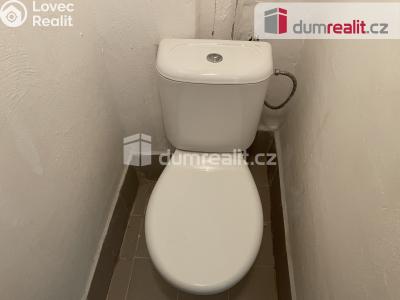 Pronájem rodinného domu Vítkov, Opavská 37 č. 9