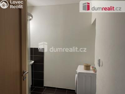 Pronájem rodinného domu Vítkov, Opavská 37 č. 15