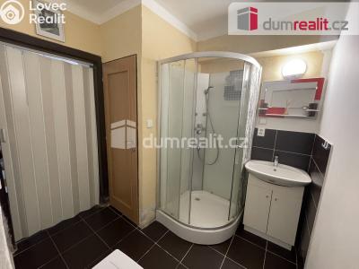 Pronájem rodinného domu Vítkov, Opavská 37 č. 8