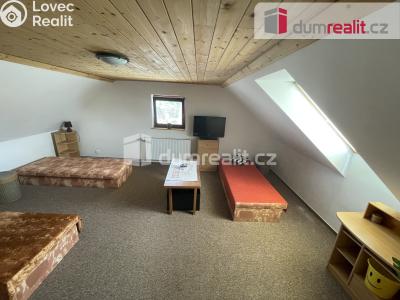 Pronájem rodinného domu Vítkov, Opavská 37 č. 19