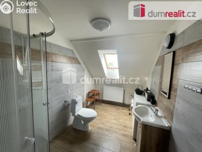 Pronájem rodinného domu Vítkov, Opavská 37 č. 22