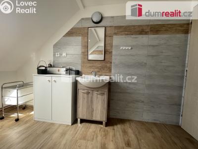 Pronájem rodinného domu Vítkov, Opavská 37 č. 23