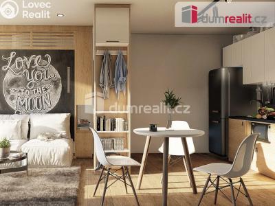 Prodej bytu 1+KK Mělník, Kokořínská 3733 č. 3