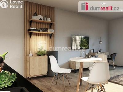 Prodej bytu 1+KK Mělník, Kokořínská 3733 č. 4