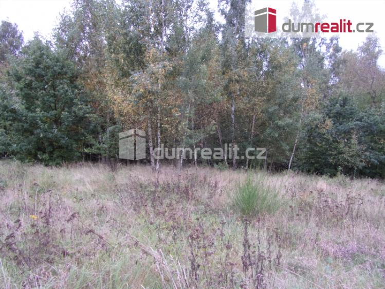 Prodej louky Karlovy Vary, Na Průhoně 37/9 č. 3