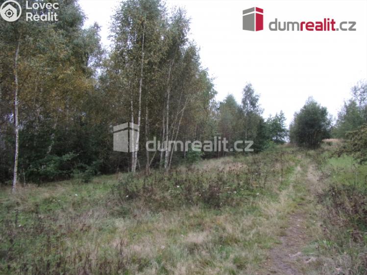 Prodej louky Karlovy Vary, Na Průhoně 37/9 č. 5