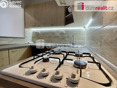 Pronájem bytu 2+KK Ústí nad Labem, Emy Destinové 1006 č. 8