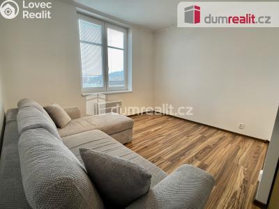 Pronájem bytu 2+KK Ústí nad Labem, Emy Destinové 1006 č. 14