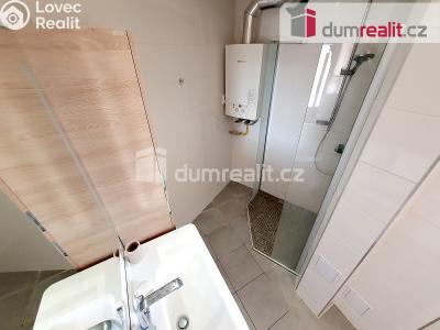 Pronájem bytu 2+1 Plzeň, Suvorovova 2076 č. 7