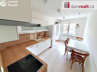 Pronájem bytu 2+1 Plzeň, Suvorovova 2076 č. 1