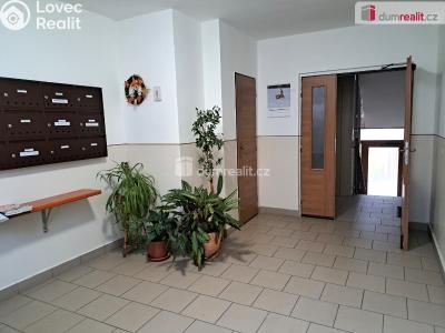 Prodej bytu 1+1 Ústí nad Labem, Meruňková 2849 č. 12