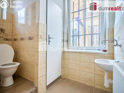 Pronájem skladového prostoru Plzeň, Božkovská 316 č. 19