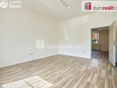 Pronájem kanceláře Plzeň, Božkovská 316 č. 5