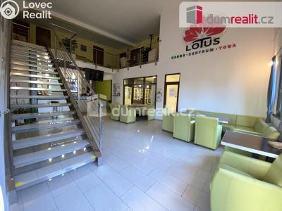 Pronájem komerční nemovitosti Břeclav, Na Hrůdách 1147 č. 2