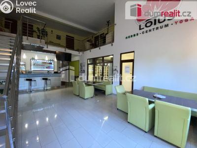 Pronájem komerční nemovitosti Břeclav, Na Hrůdách 1147 č. 3