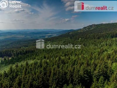 Prodej rodinného domu Křižany č. 20