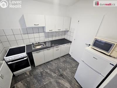 Pronájem bytu 1+1 Plzeň, V Lomech 753 č. 3