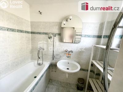 Pronájem rodinného domu Chlumec č. 11