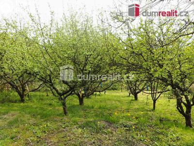 Prodej rodinného domu Nosálov č. 45