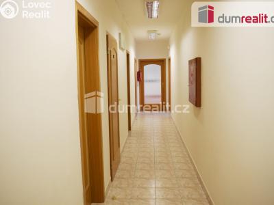 Prodej výrobní haly Modlany č. 11